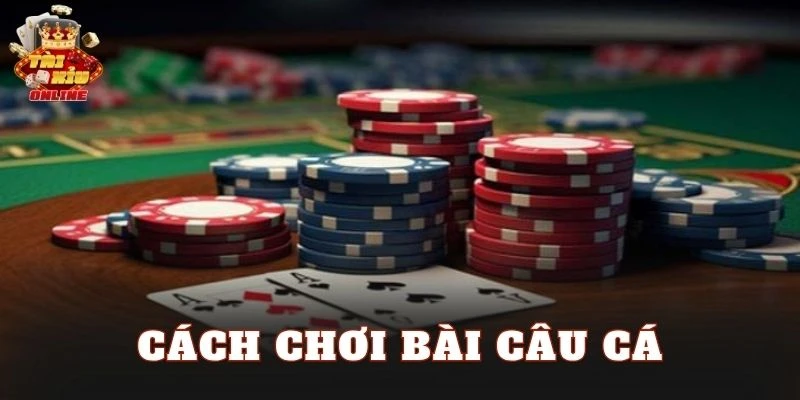 Cách Chơi Bài Câu Cá