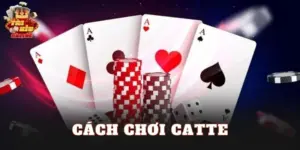 Cách Chơi Catte