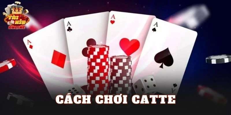 Cách Chơi Catte