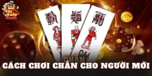 Cách Chơi Chắn Cho Người Mới