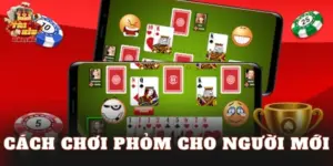 Cách Chơi Phỏm Cho Người Mới – Hướng Dẫn Từ A Đến Z