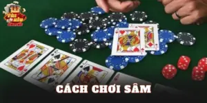 Cách Chơi Sâm